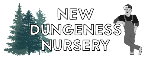 New Dungeness Nursery