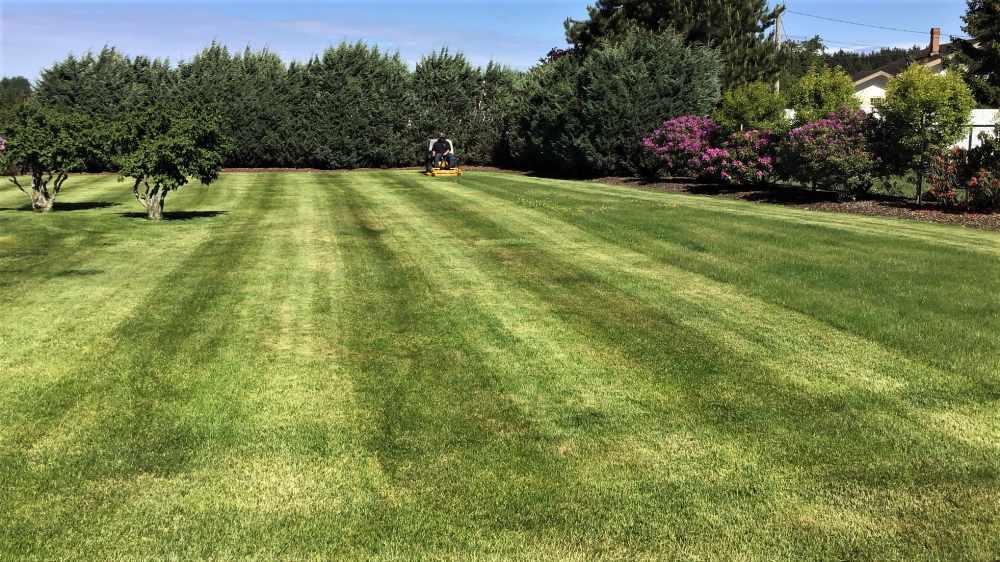 Lawn Care Services Sequim and Port Angeles