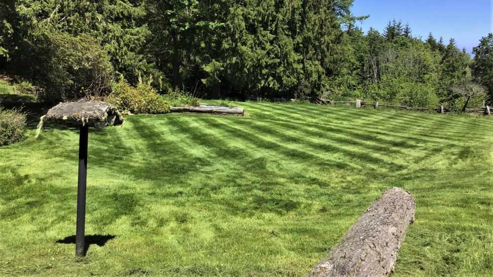 Lawn Care Services Sequim and Port Angeles