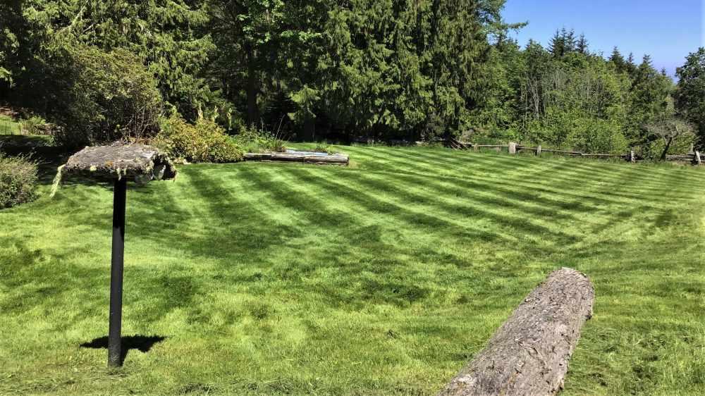 Lawn Care Lawn Care
