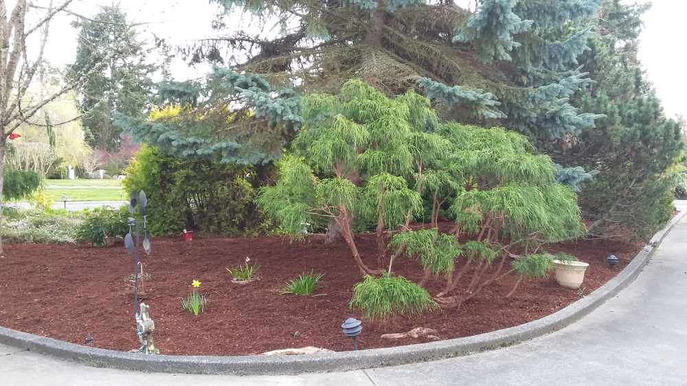 Landscape Maintenance Landscape Maintenance