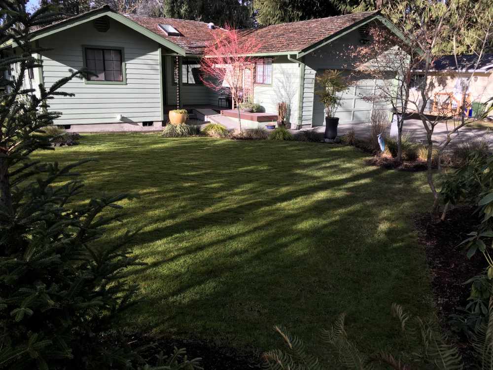 Lawn Care Services Sequim and Port Angeles